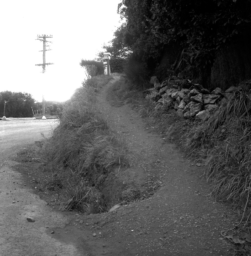 b. Tio Tio Road-Camperdown Rd