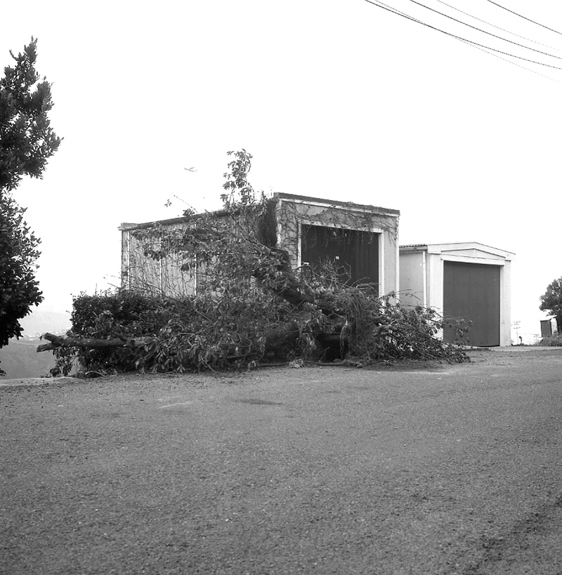 a. No 29 Roseneath Terrace