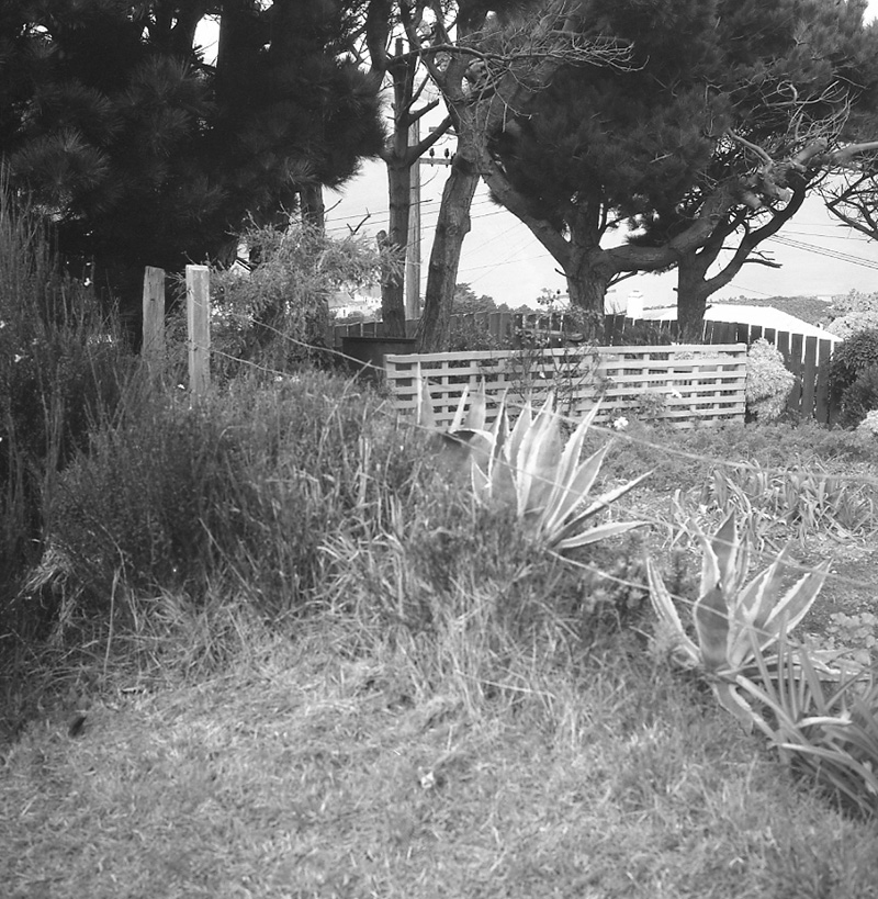 a. No 88 Jubilee Road