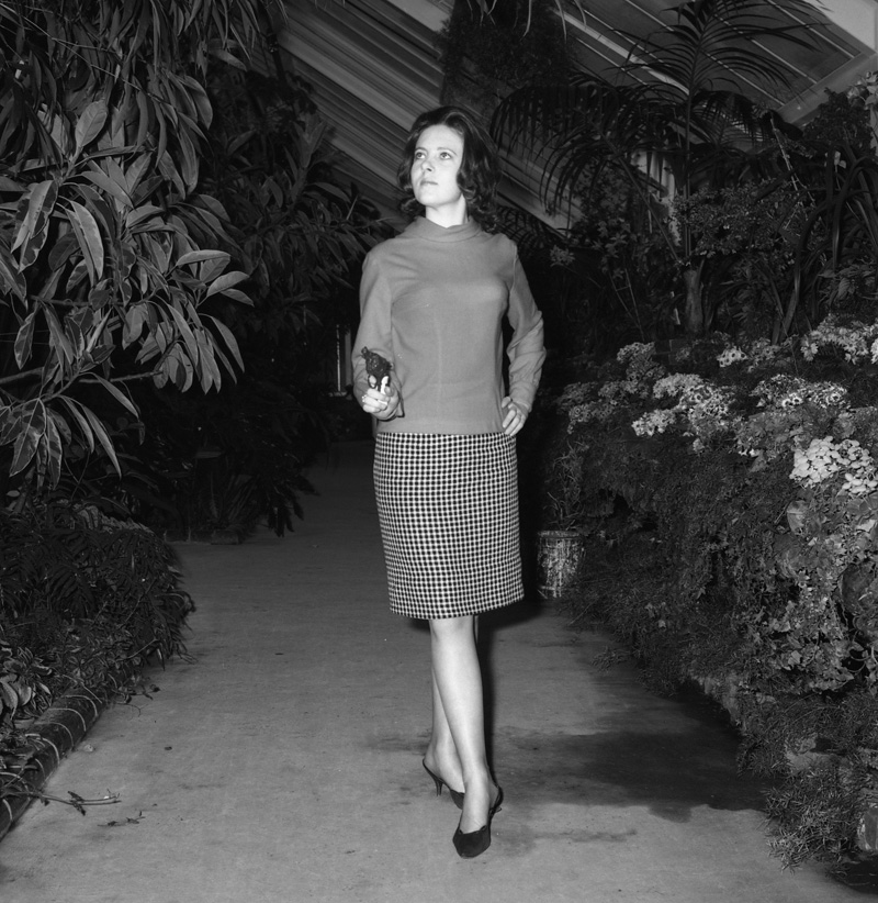 b. L Nicholls Councilman