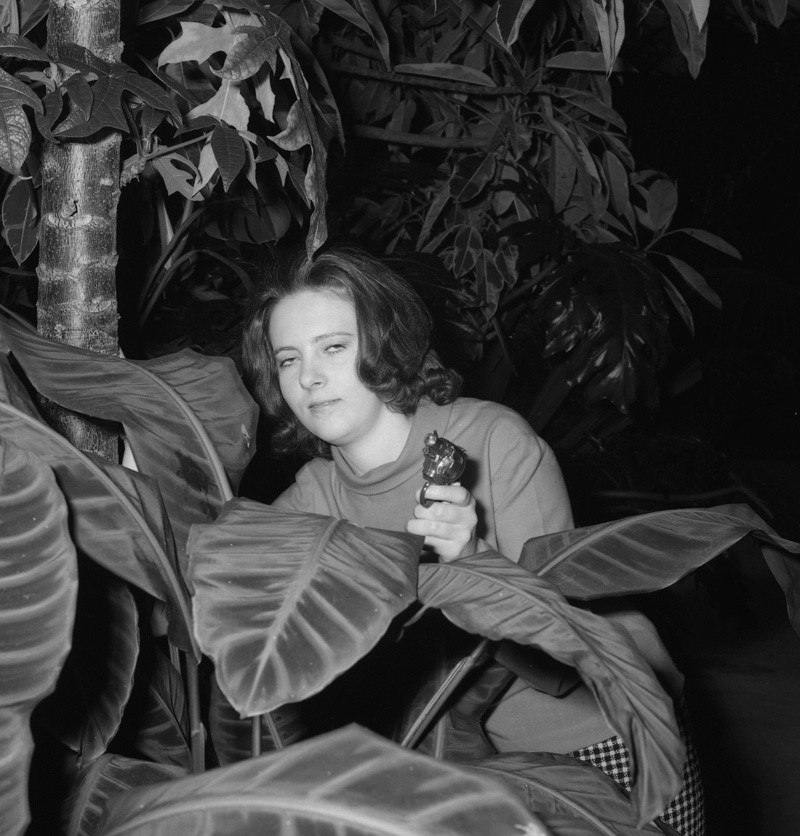 c. L Nicholls Councilman