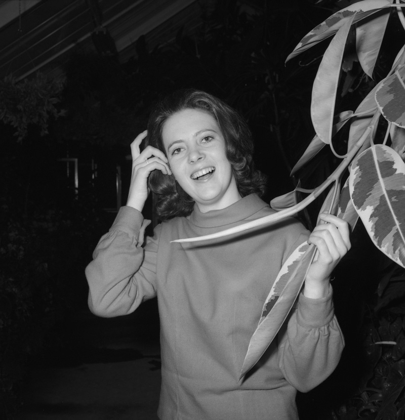 d. L Nicholls Councilman