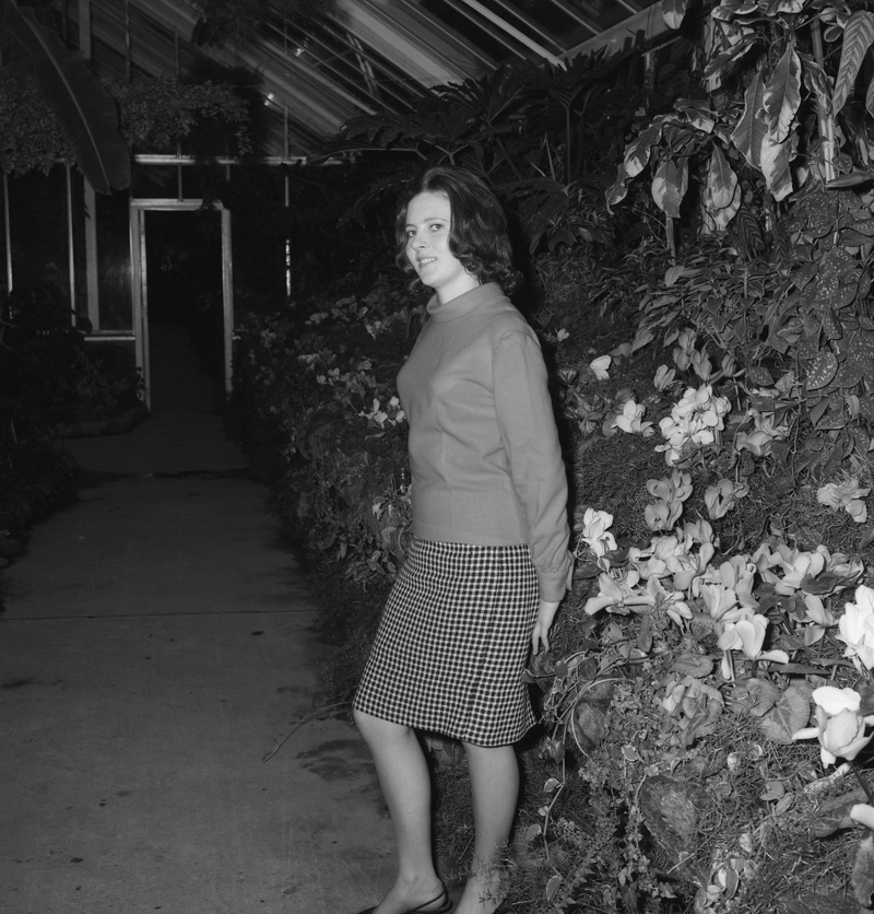 g. L Nicholls Councilman