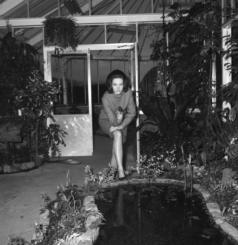 h. L Nicholls Councilman