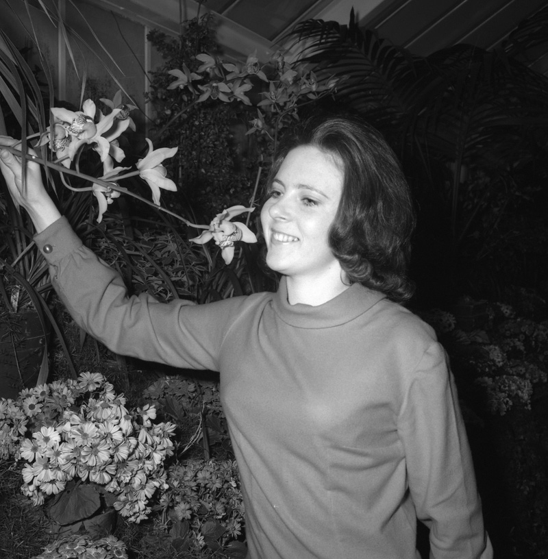 j. L Nicholls Councilman