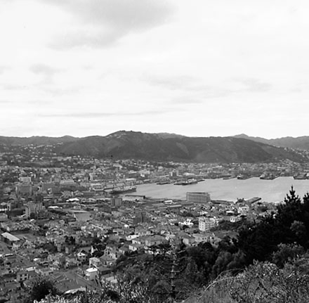 f. Panorama of Wellington from Mount Victoria