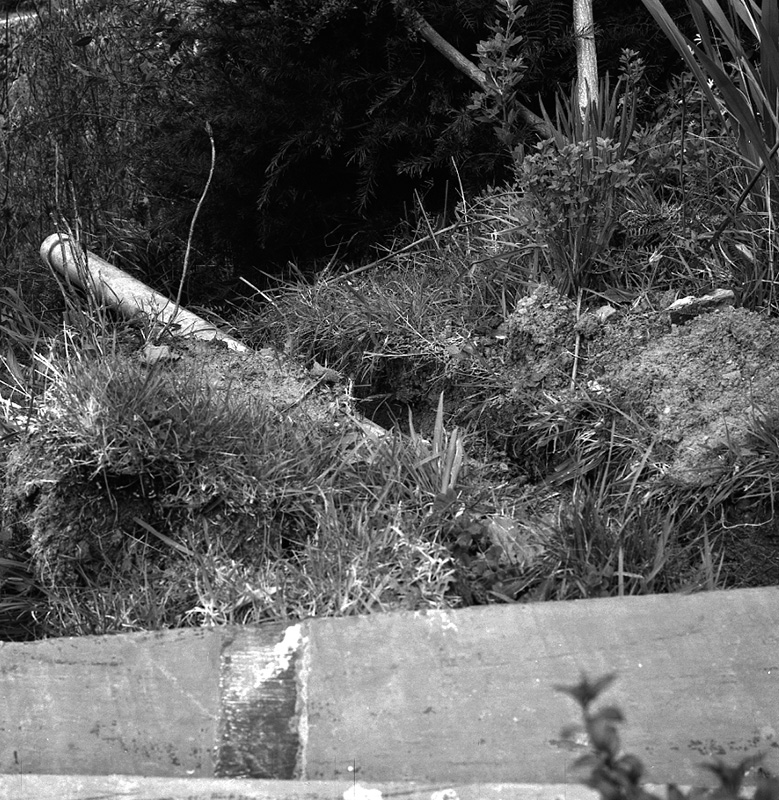 c. No 180 Pembroke Road