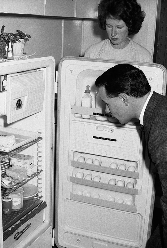 ae. Food Handling, Hydatids, House Inspection