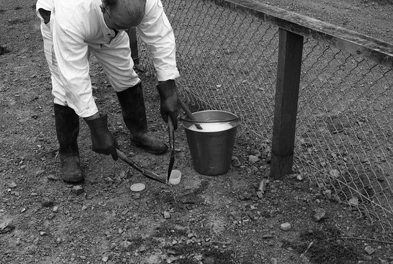 ag. Food Handling, Hydatids, House Inspection