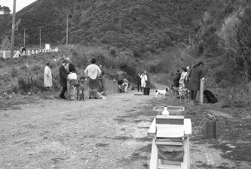 ai. Food Handling, Hydatids, House Inspection