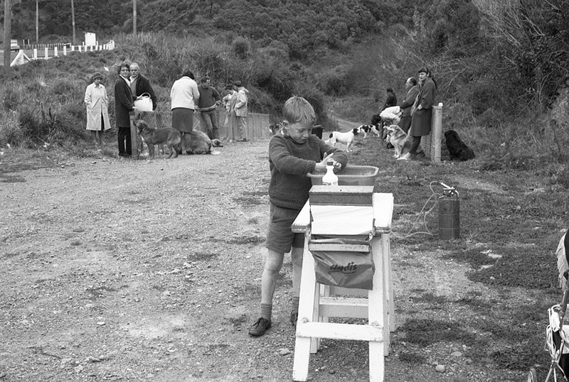 aj. Food Handling, Hydatids, House Inspection