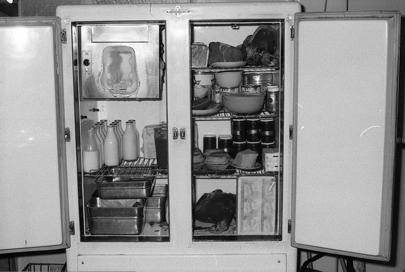 al. Food Handling, Hydatids, House Inspection