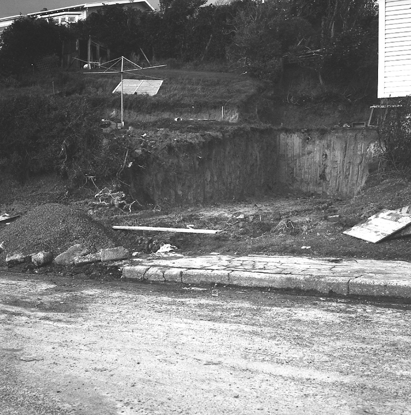b. Streetscape, Ranui Crescent, Khandallah