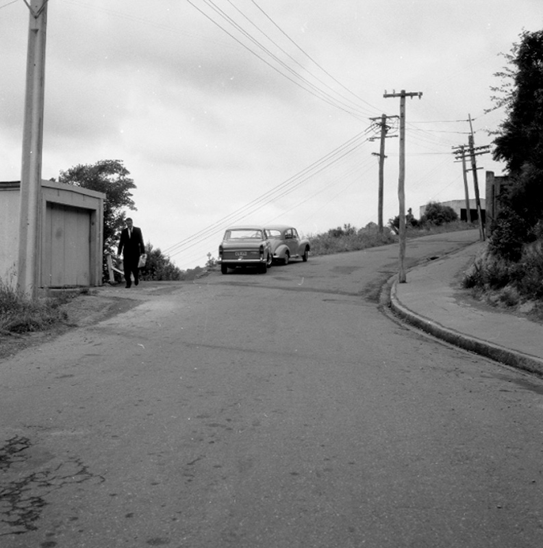 f. Traffic, Rakau Road