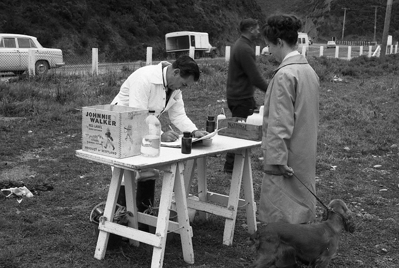 i. Food Handling, Hydatids, House Inspection