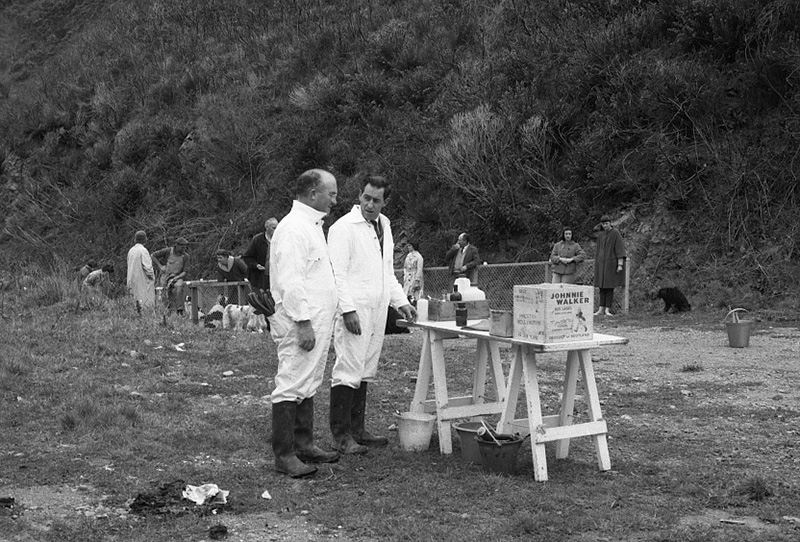 j. Food Handling, Hydatids, House Inspection