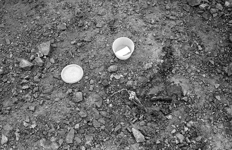 l. Food Handling, Hydatids, House Inspection