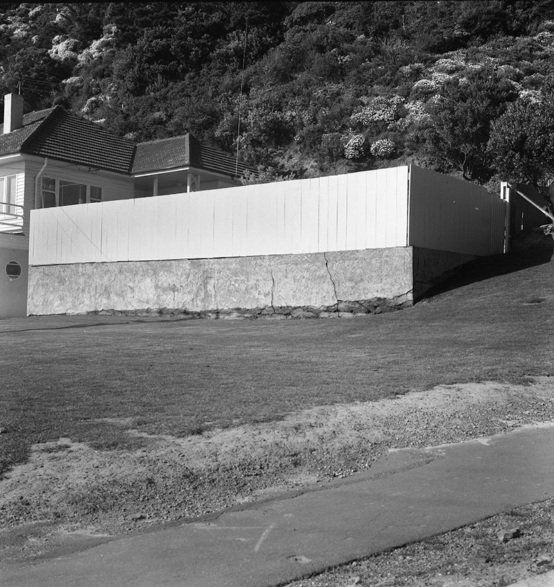 b. Nos 217-218 Evans Bay Rd