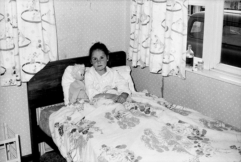 t. Food Handling, Hydatids, House Inspection