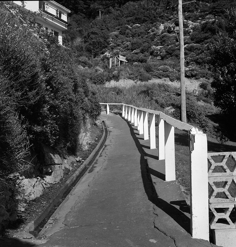 d. Nos 217-218 Evans Bay Rd