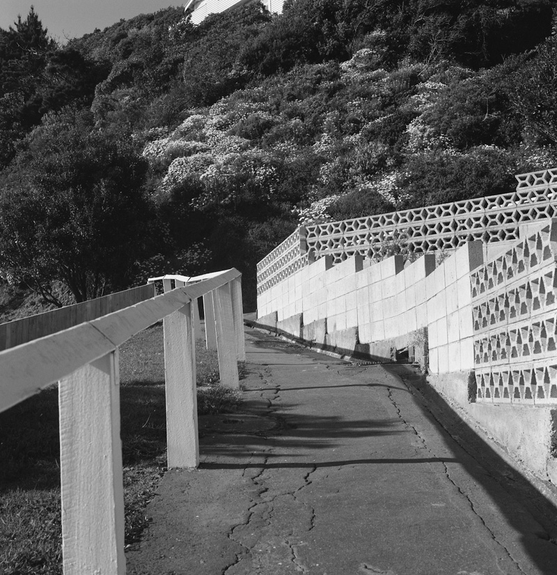 e. Nos 217-218 Evans Bay Rd