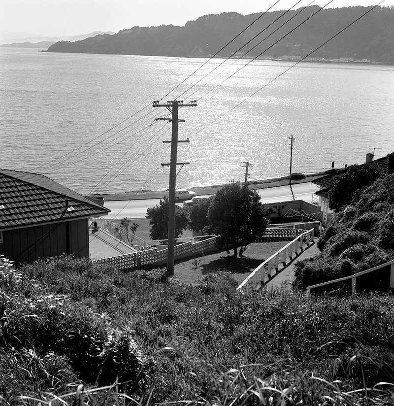 g. Nos 217-218 Evans Bay Rd