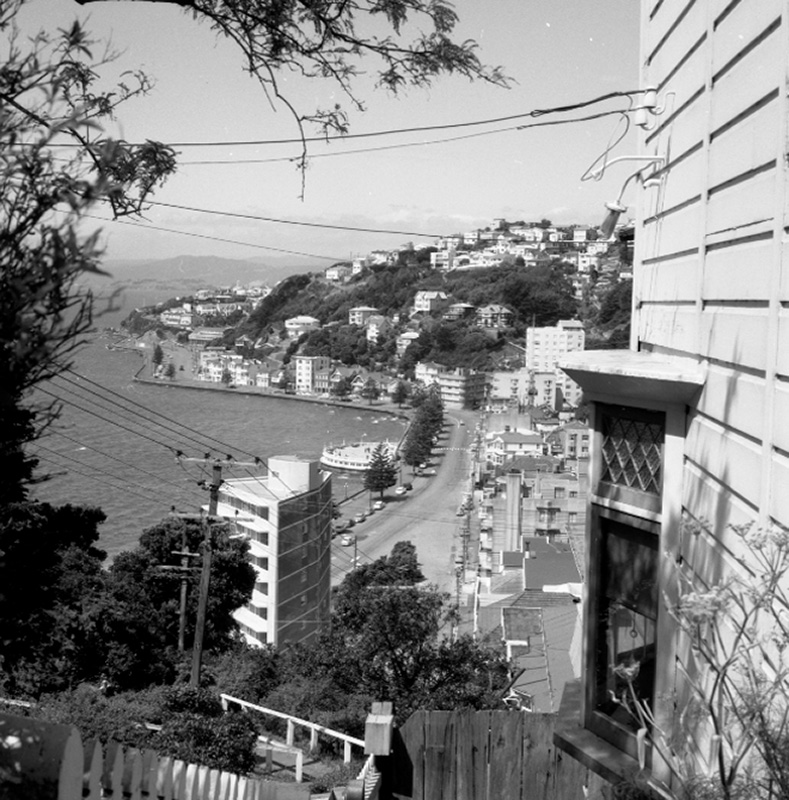 e. View of Oriental Bay