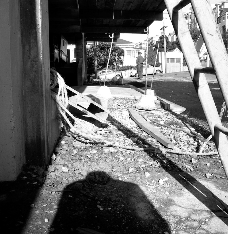 c. Boulcott St