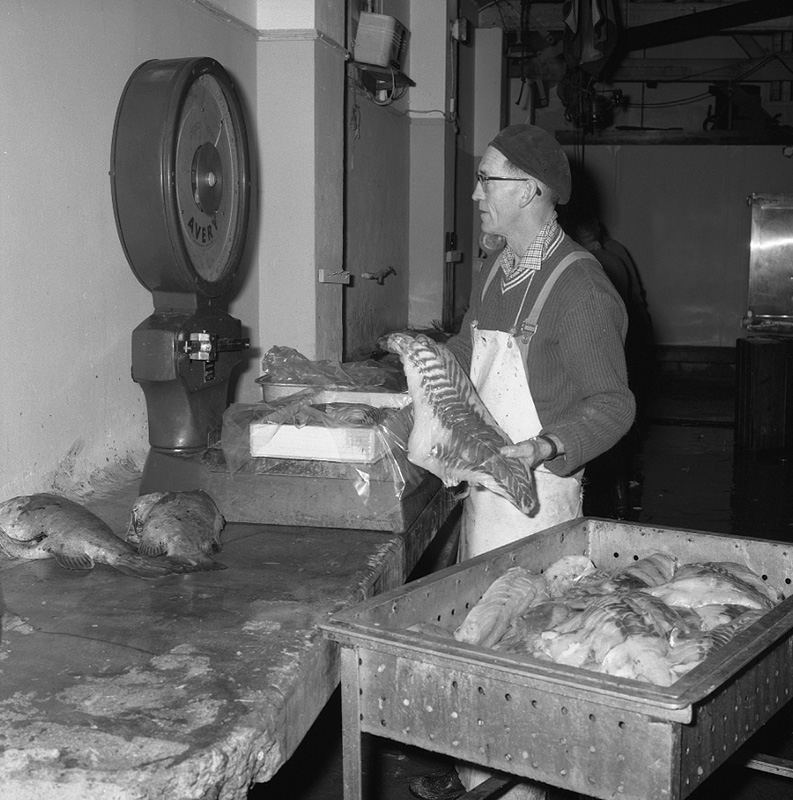 a. Nelson Fisheries