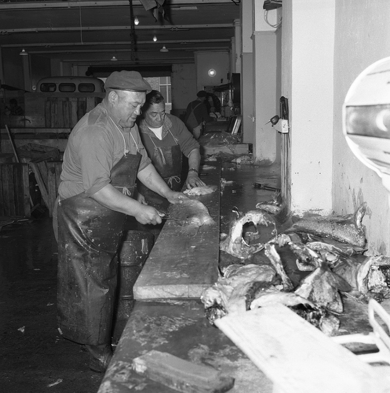 b. Nelson Fisheries