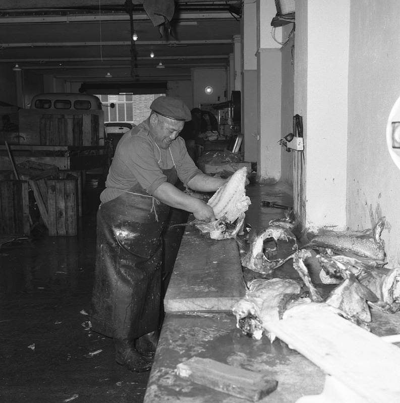c. Nelson Fisheries