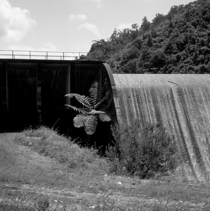 c. Panorama - Morton Dam