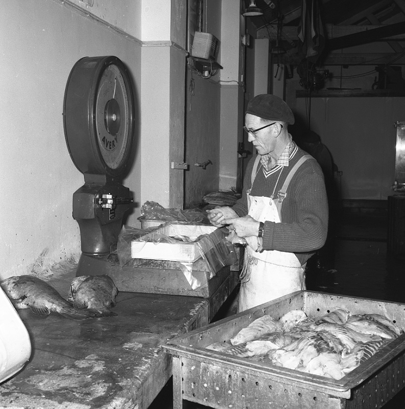 e. Nelson Fisheries