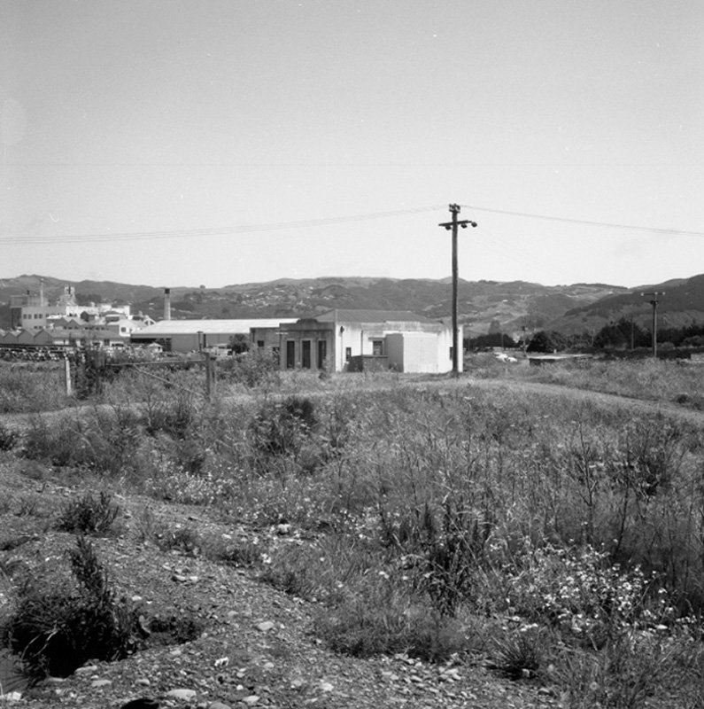 d. Pipe Bridge Petone. Gear Island. Morton Dam