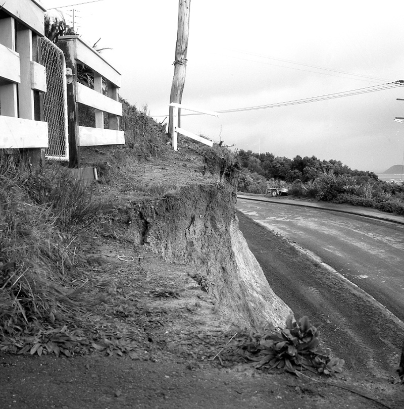 a. No 80 Nevay Road