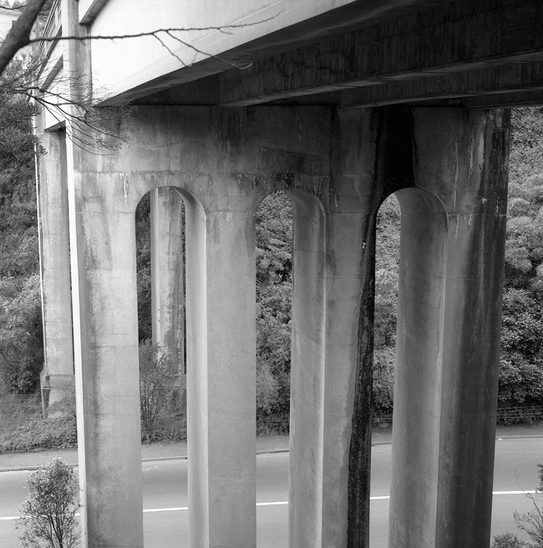 e. Kelburn Viaduct