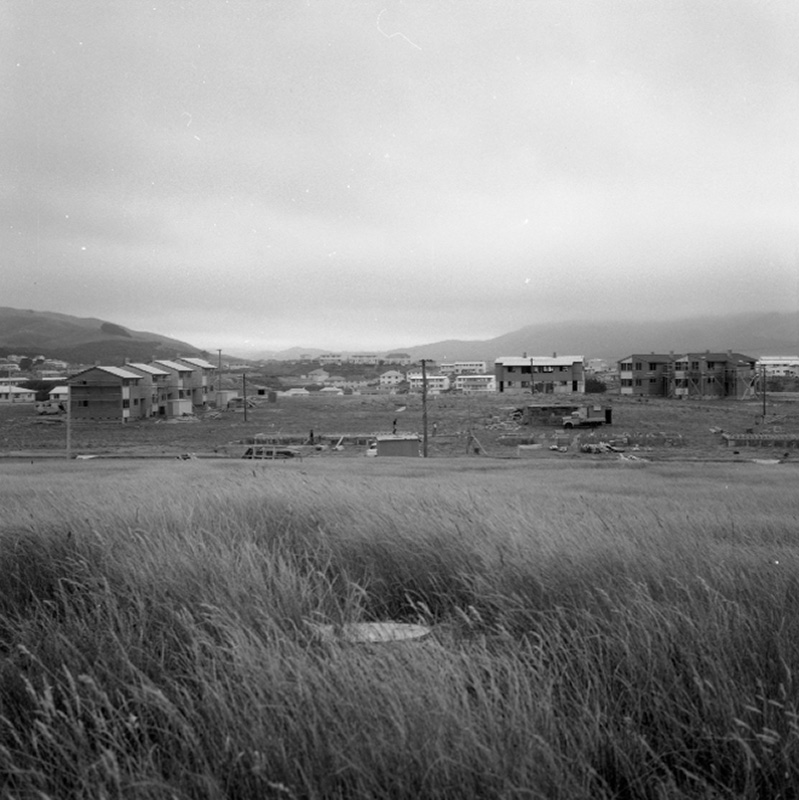 a. Types of flats, Porirua