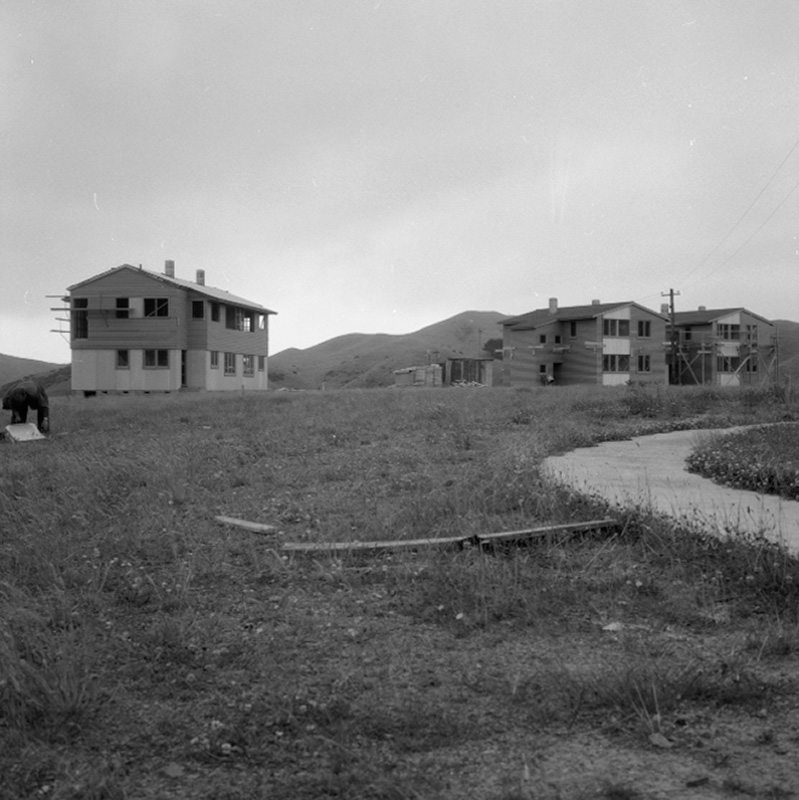 b. Types of flats, Porirua