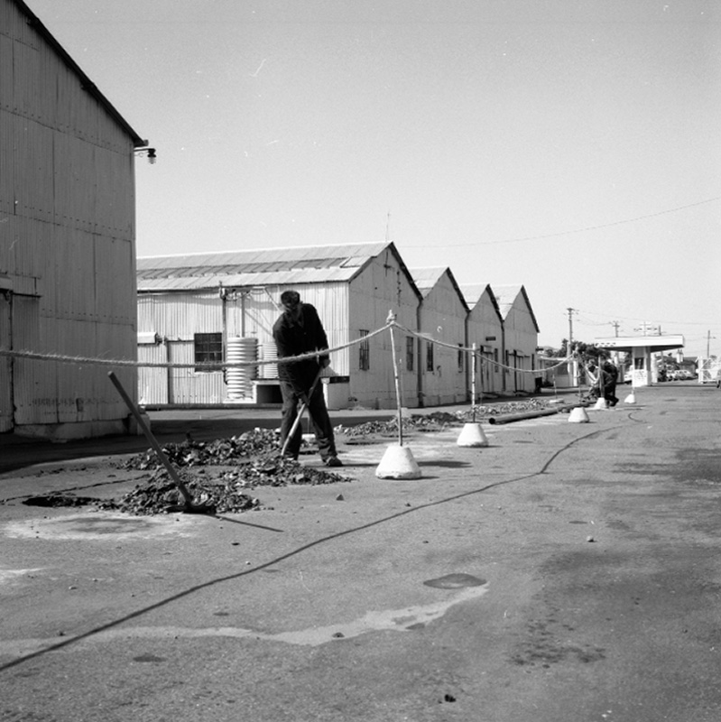 a. Drainage Shell Co