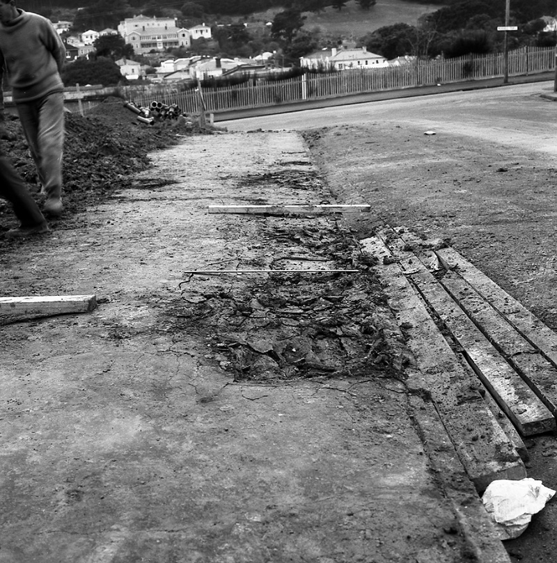 a. Waripori Street [Te Wharepōuri Street]-Russell Terrace