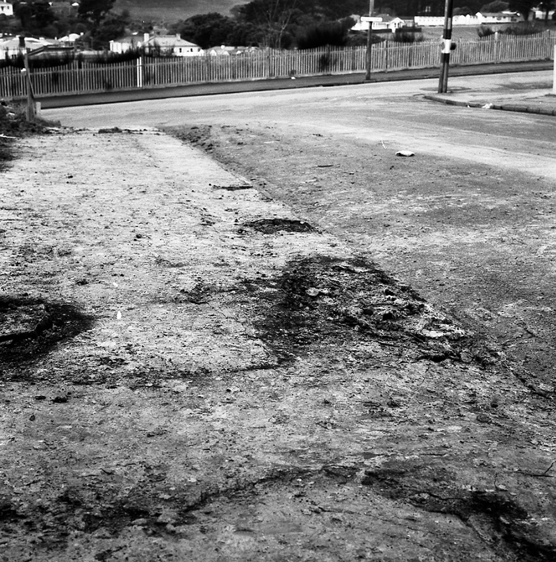 a. Waripori Street [Te Wharepōuri Street]-Russell Terrace