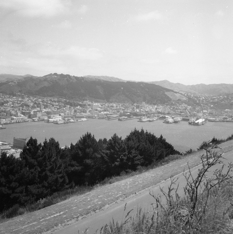 a. Alexandria Rd Pumping Station. Tate Lining Pirie St. View from Wainui Hill. Views of Harbour &amp; City