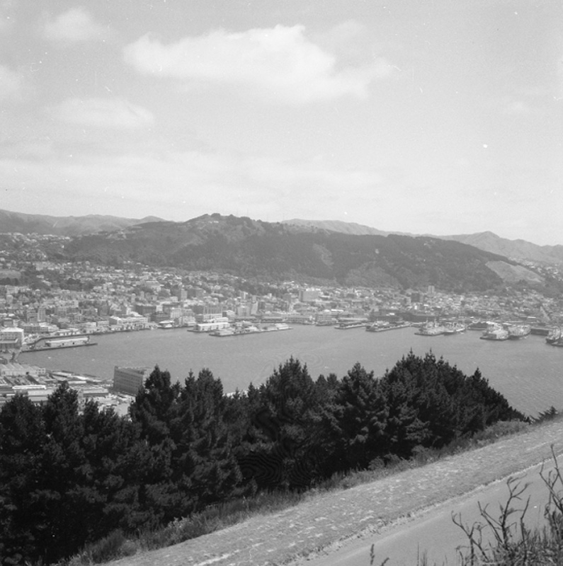 c. Alexandria Rd Pumping Station. Tate Lining Pirie St. View from Wainui Hill. Views of Harbour &amp; City