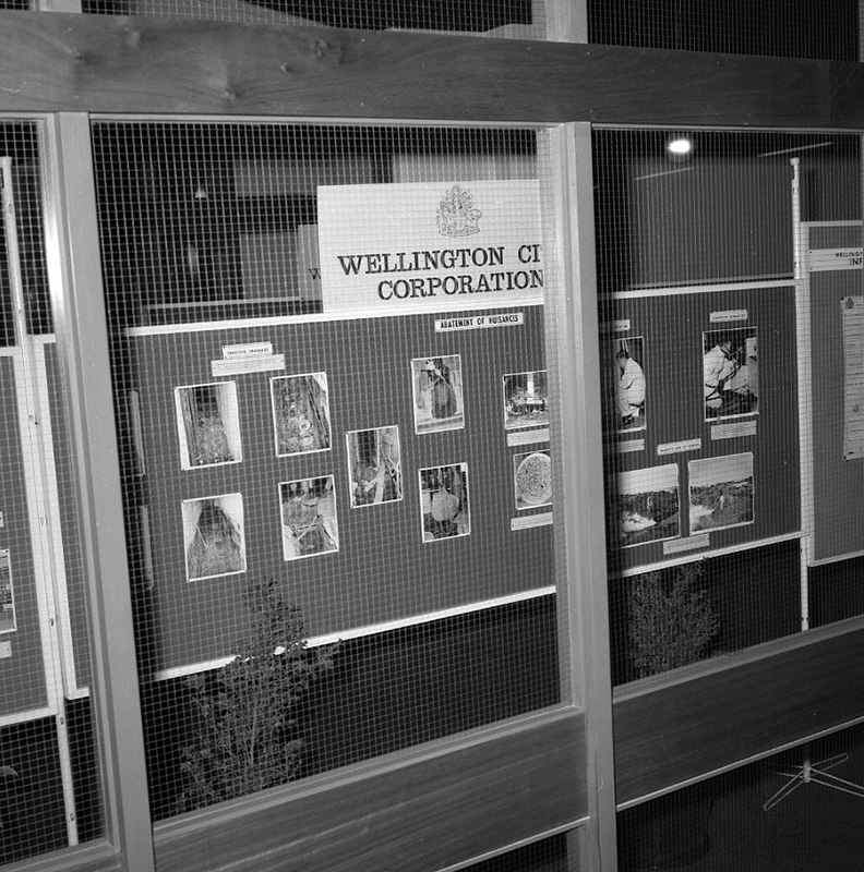 a. Display Centre Health Exhibition