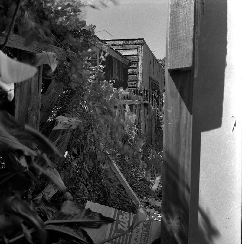 c. Duncan Terrace, fence