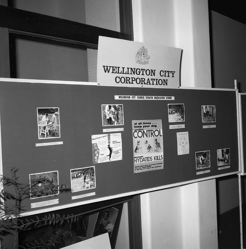 p. Display Centre Health Exhibition