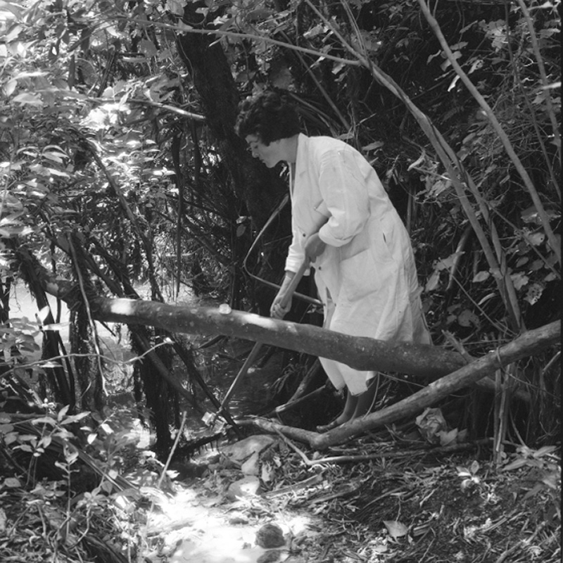 e. Laboratory Water Test