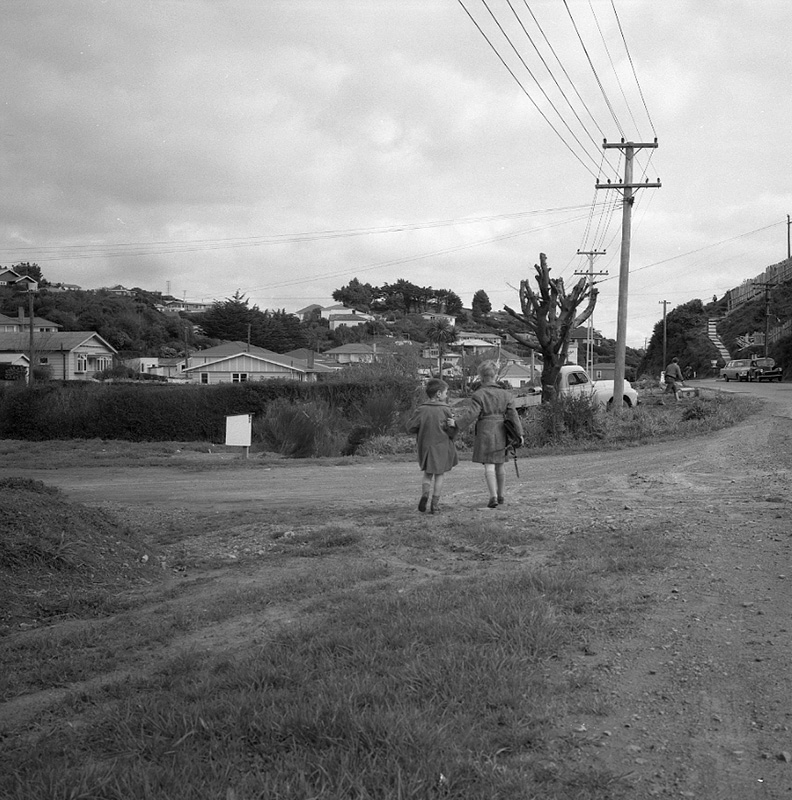 j. Vehicle Access, Newlands Road, Newlands