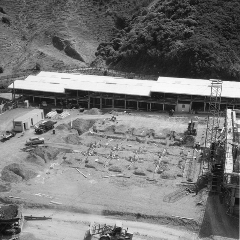 b. Abattoirs, Construction