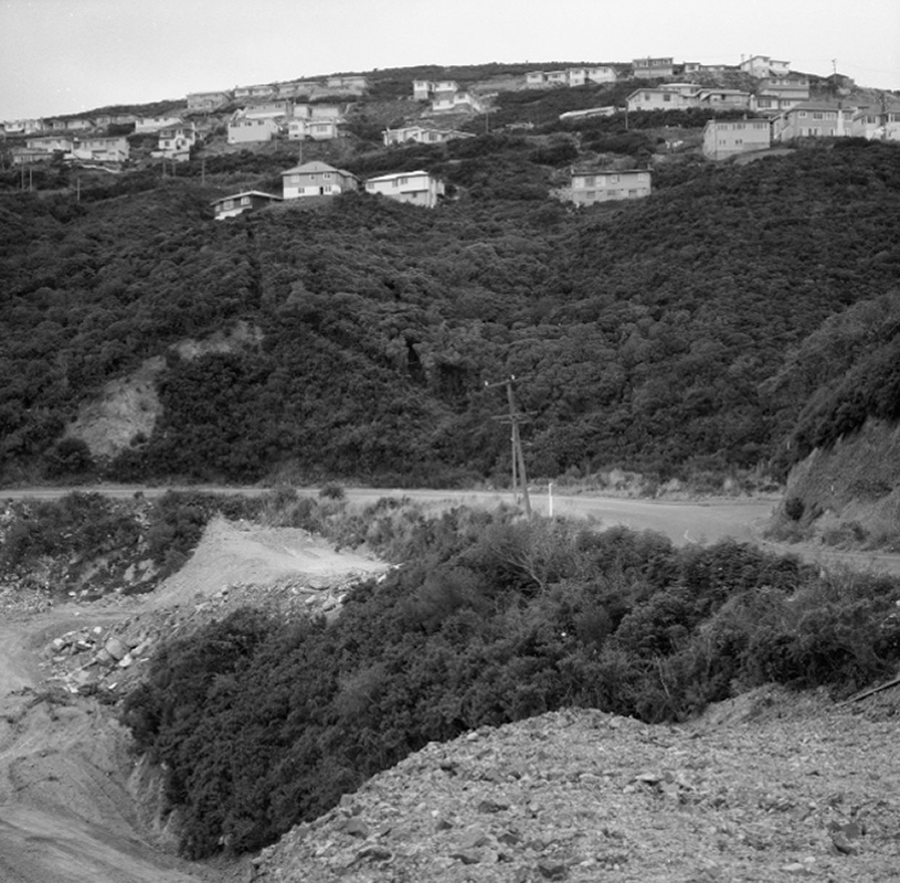 e. Panorama - Wilton Rd Tip